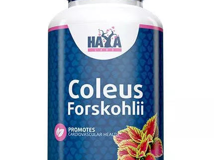 Haya Labs Coleus Forskohlii (Barzdotųjų cimbžiedų (coleus forskohlii) šaknų ekstraktas) 60 kaps.