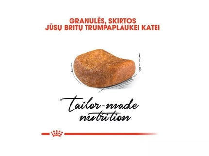 Royal Canin FBN British Shorthair Adult maistas suaugusioms Britų trumpaplaukių veislės katėms 2 kg