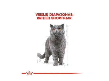 Royal Canin FBN British Shorthair Adult maistas suaugusioms Britų trumpaplaukių veislės katėms 2 kg
