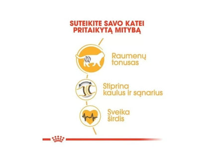 Royal Canin FBN British Shorthair Adult maistas suaugusioms Britų trumpaplaukių veislės katėms 2 kg