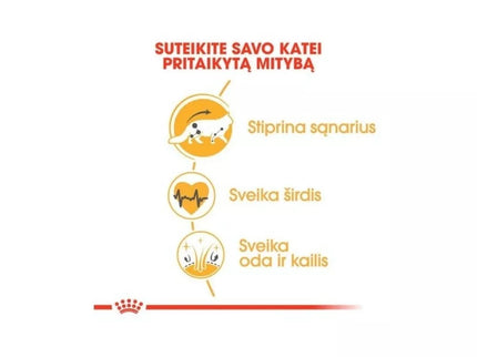 Royal Canin Dry Food for Maine Coon Cats 0.4 kg