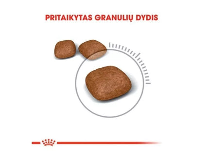 Royal Canin FCN Urinary Care Cat Food for Urinary System Disease Prevention 0.4 kg