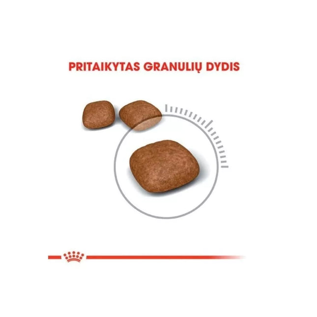 Royal Canin FCN Urinary Care Cat Food for Urinary System Disease Prevention 0.4 kg