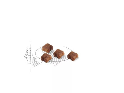 Royal Canin FHN First Age Mother and Babycat maistas maitinančioms katėms ir kačiukams 0,4 kg