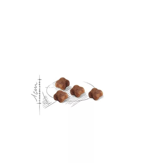 Royal Canin FHN First Age Mother and Babycat Food for Nursing Cats and Kittens 0.4 kg