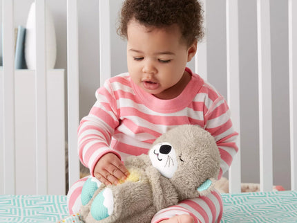 FISHER-PRICE Soother - Udryte (FXC66)