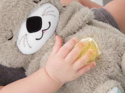 FISHER-PRICE Soother - Udryte (FXC66)