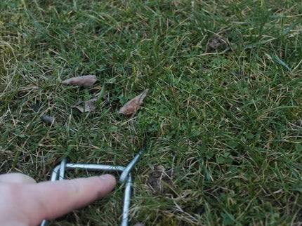 Feeder for Birds and Rabbits