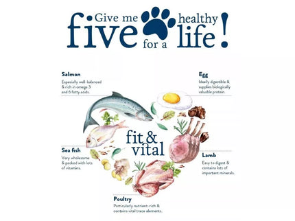 Happy Dog Mini Senior visavertis pašaras mažų veislių seniems šunims, 800 g