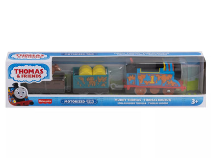 THOMAS AND FRIENDS Motorized Themed Train with Wagon (HFX97)