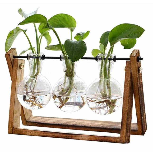 Hydroponic Vase