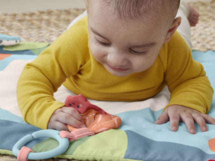 FISHER-PRICE Panda Play Mat (HKD65)