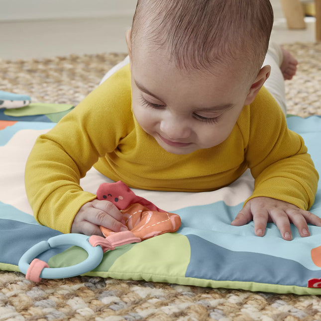 FISHER-PRICE Panda Play Mat (HKD65)