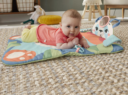 FISHER-PRICE Panda Play Mat (HKD65)