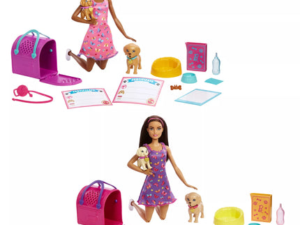 BARBIE šunelių įvaikinimo rinkinys (HKD86)