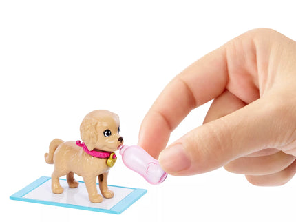 BARBIE šunelių įvaikinimo rinkinys (HKD86)