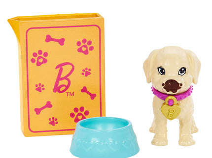 BARBIE šunelių įvaikinimo rinkinys (HKD86)