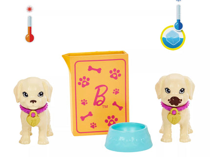 BARBIE šunelių įvaikinimo rinkinys (HKD86)