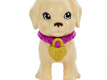 BARBIE šunelių įvaikinimo rinkinys (HKD86)