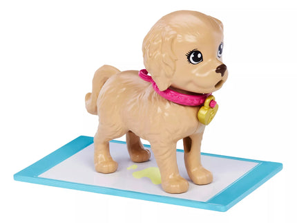 BARBIE šunelių įvaikinimo rinkinys (HKD86)