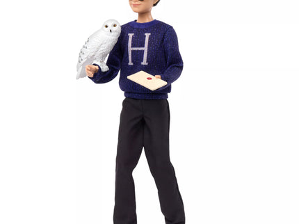 HARRY POTTER advento kalendorius (HND80)