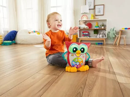 FISHER-PRICE LINKIMALS muzikinis interaktyvus Pelėdžiukas Pūpū LT (lietuviškai įgarsintas) (HNK87)