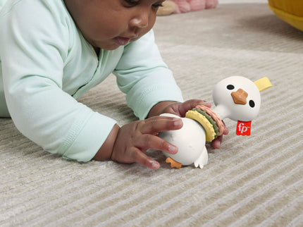 FISHER-PRICE Teether Rattle (HRB19)