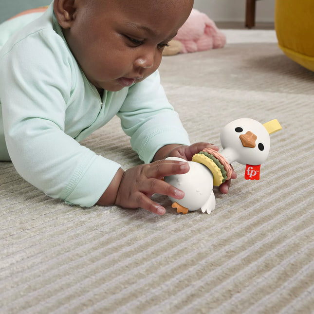 FISHER-PRICE Teether Rattle (HRB19)