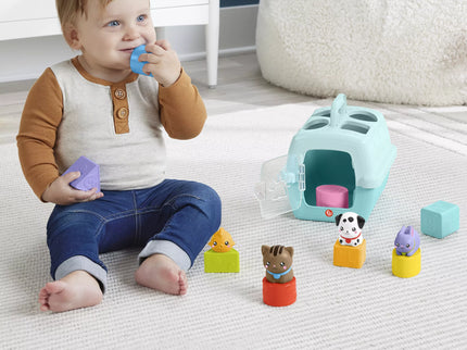 FISHER-PRICE formelių rūšiuoklė – Naminiai gyvūnėliai (HTW93)