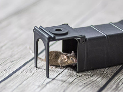 Humane Rodent Trap