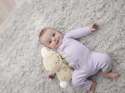 FISHER-PRICE Bunny Soother (HXG97)