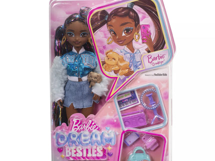 BARBIE DREAM BESTIES lėlė Brooklyn (HYC22)