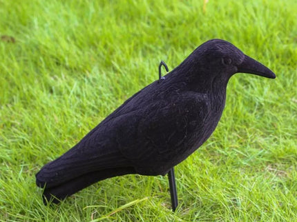 Imitacija varnos (varna)