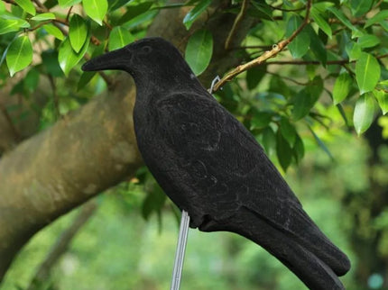 Imitacija varnos (varna)