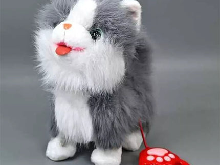 Interaktyvus kačiukas