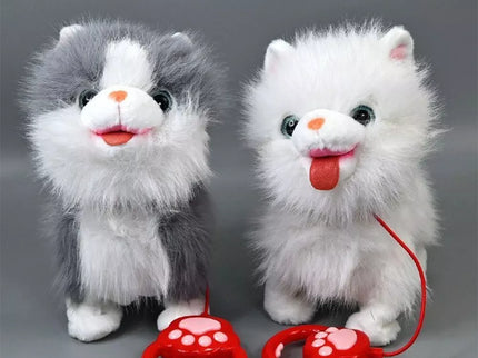 Interaktyvus kačiukas