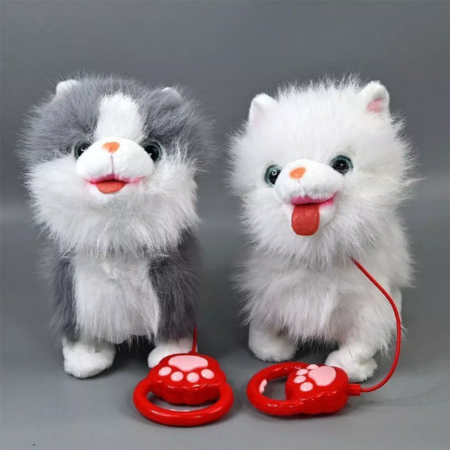 Interaktyvus kačiukas