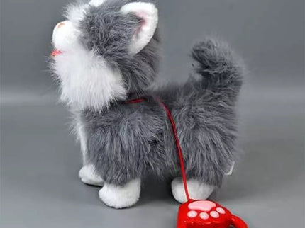 Interaktyvus kačiukas