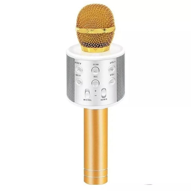 Išmanusis karaoke mikrofonas