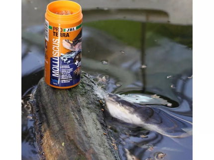JBL ProTerra Molluscus Food for Turtles, 250 ml