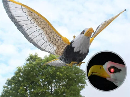 Judančio erelio imitacija