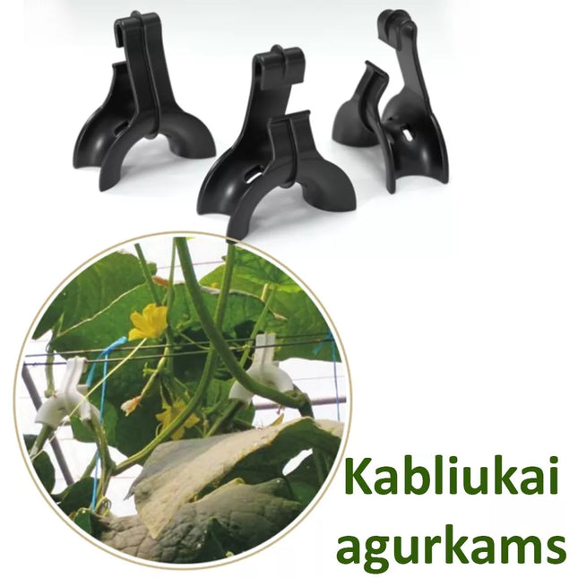 Cucumber Hooks, 10 pcs.