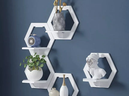 Kompaktiška lentyna