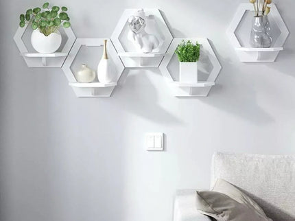 Kompaktiška lentyna