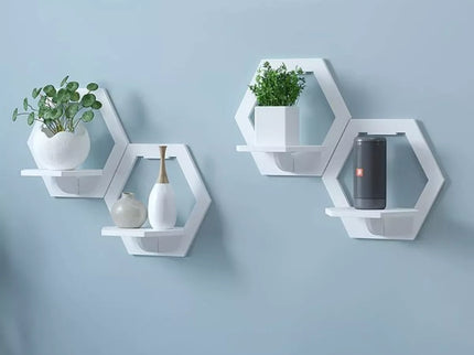 Kompaktiška lentyna