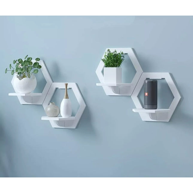 Kompaktiška lentyna