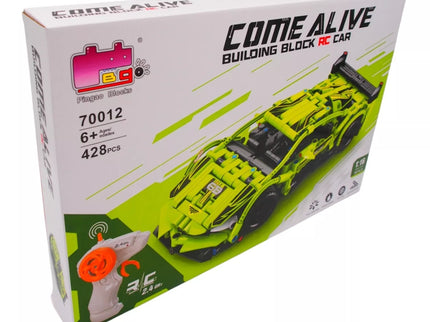 Konstruktorius/suvenyras RC mašinėlė TR2055E