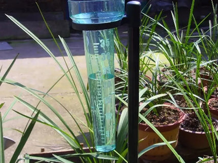 Rain gauge