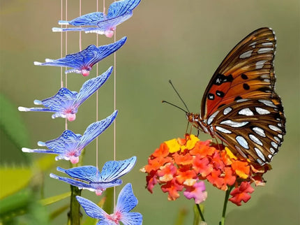 LED Decorative Butterflies