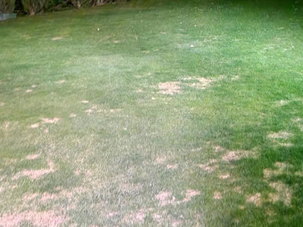 LED lauko šviestuvai